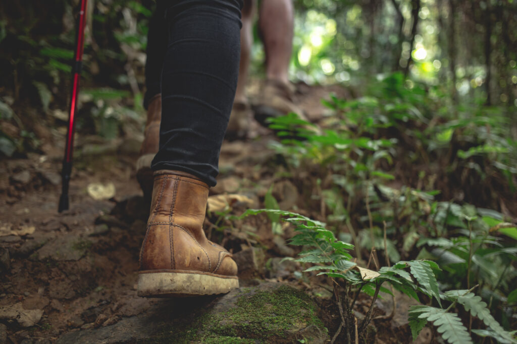 hiking