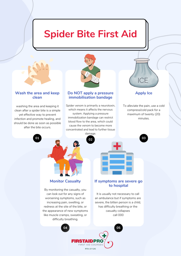 How Dangerous is a Huntsman Spider Bite? First Aid Pro Adelaide