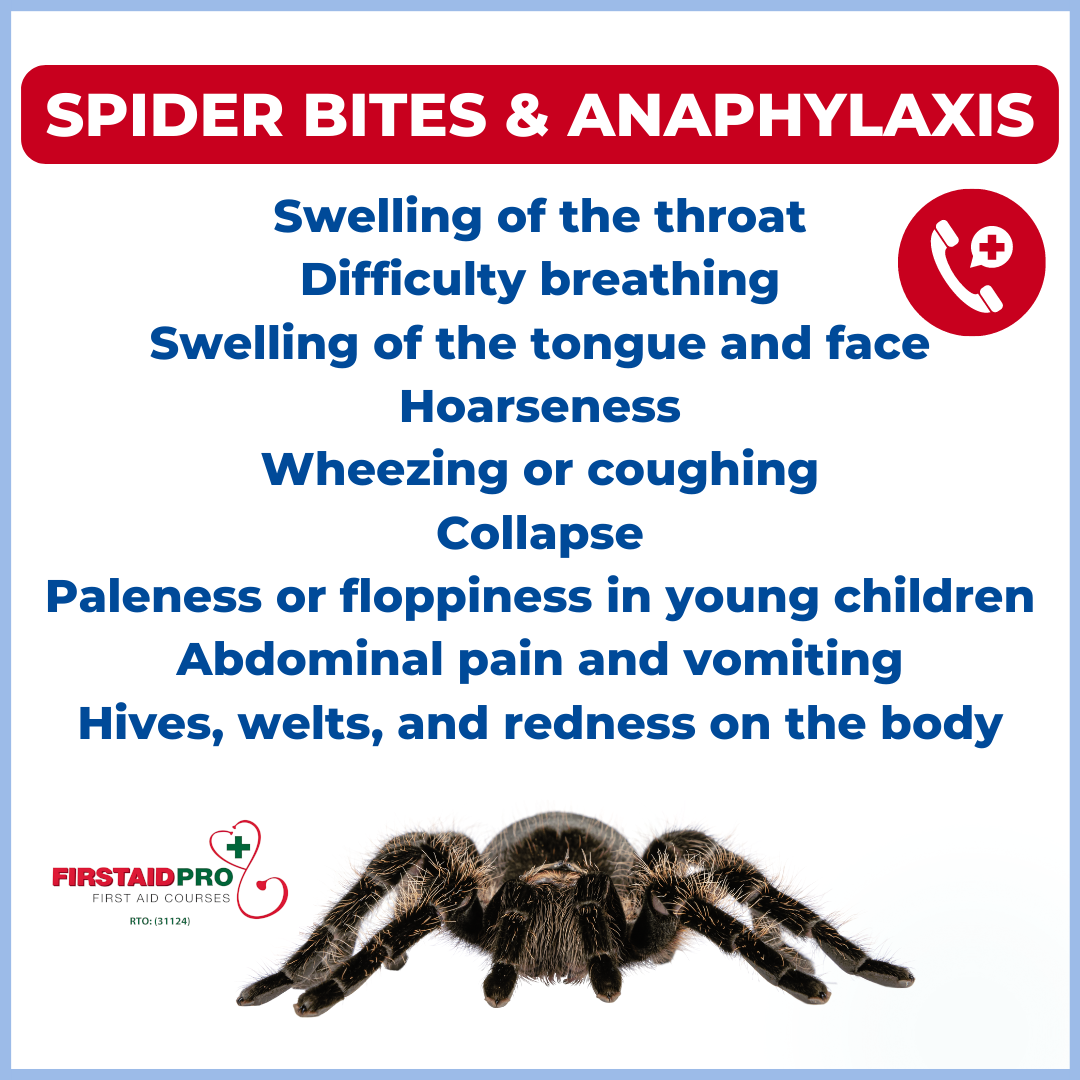 Spider-Bites-and-Anaphylaxis-1