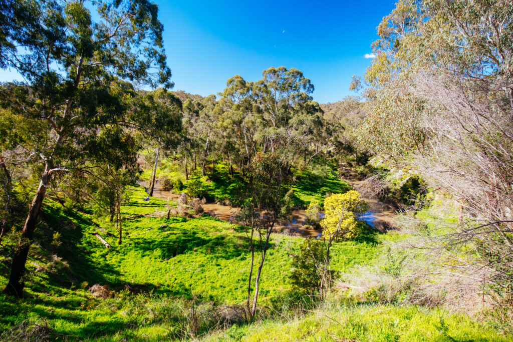 Plenty Gorge Parklands in Australia